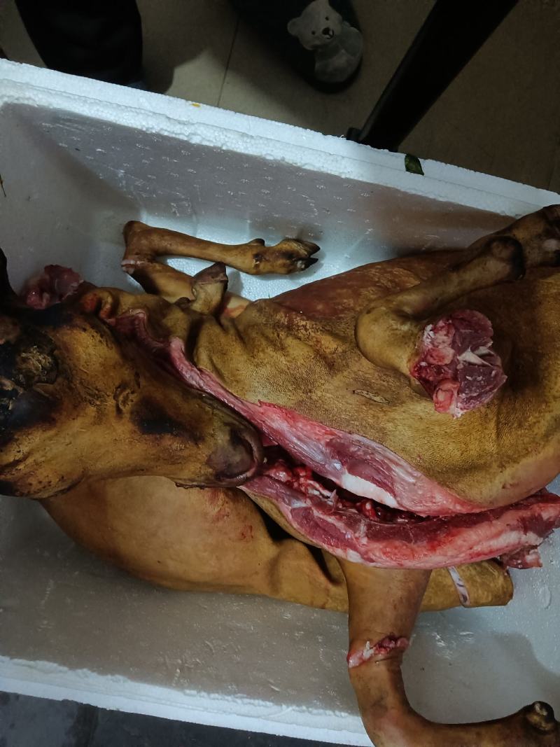 羊肉