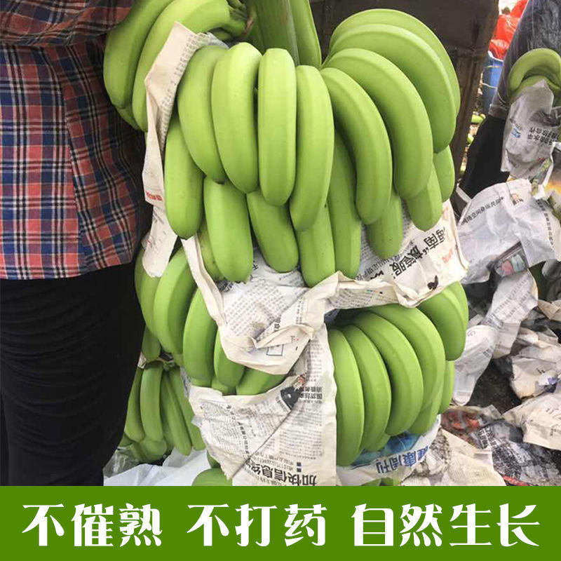 香蕉福建南靖天宝香蕉5斤装包邮非进口香蕉