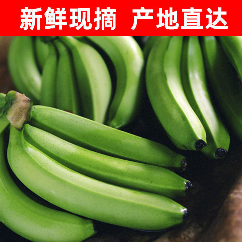 香蕉福建南靖天宝香蕉5斤装包邮非进口香蕉