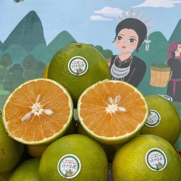 橙子海南地标产品海南琼中绿橙大量上市，产地直供