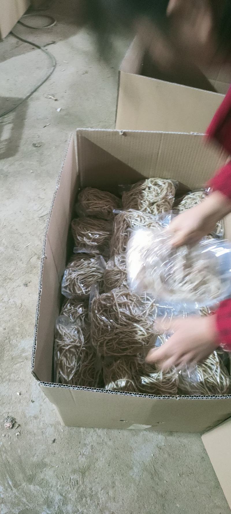 鱼腥草折耳根，欢迎电商社区团购真空包装质量保障欢迎来电