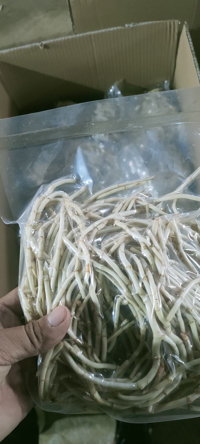 鱼腥草折耳根，欢迎电商社区团购真空包装质量保障欢迎来电