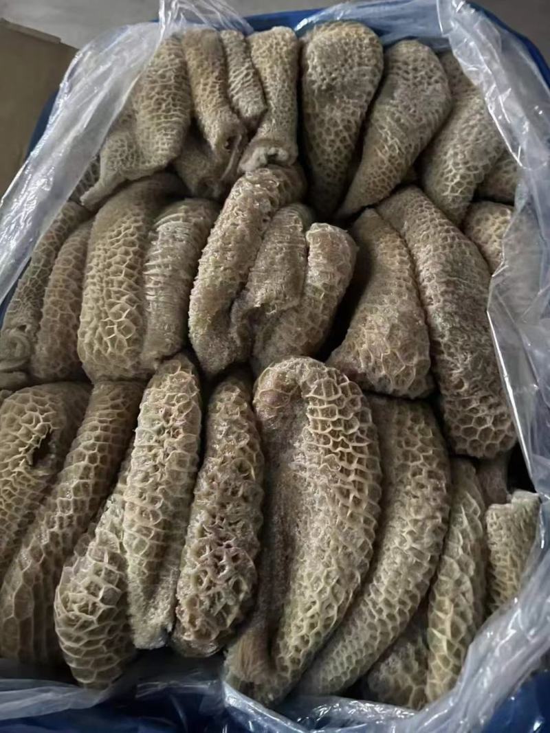 牛肚，一手货源，常年供应