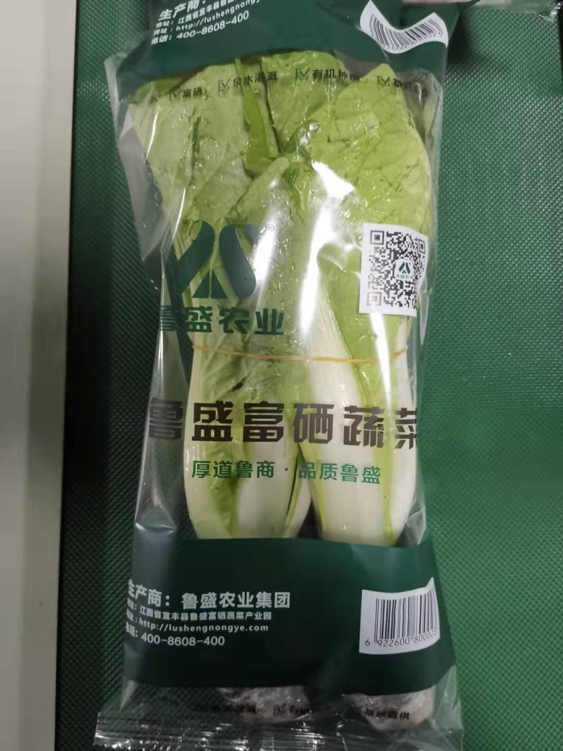 白菜奶白菜山东奶白菜小白菜量大从优，商超品质