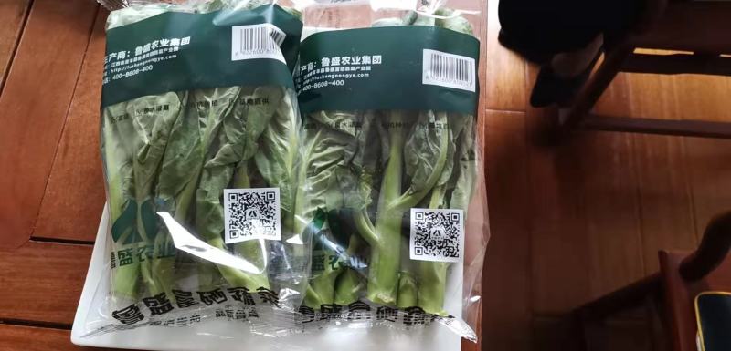 白菜奶白菜山东奶白菜小白菜量大从优，商超品质