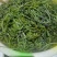 云南普洱山蕨菜_新鲜蕨菜