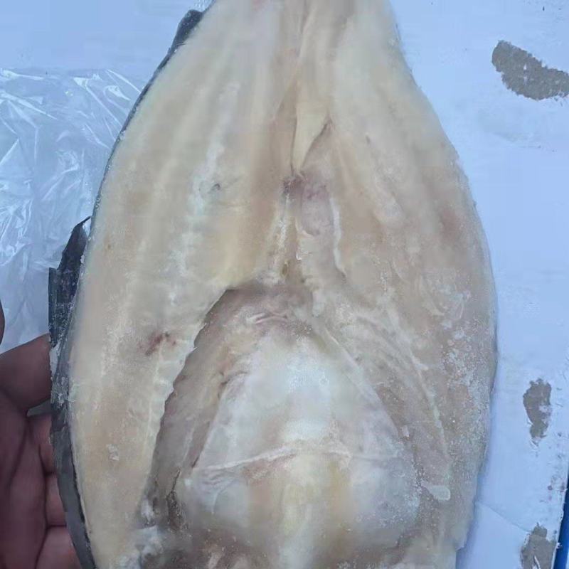 北海巴沙鱼