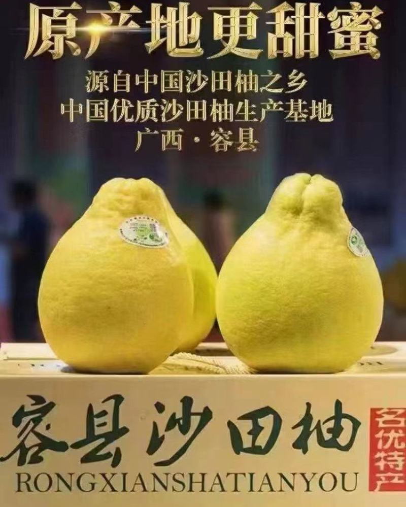 沙田柚自产自销包熟包甜两广包邮可全国一件代发