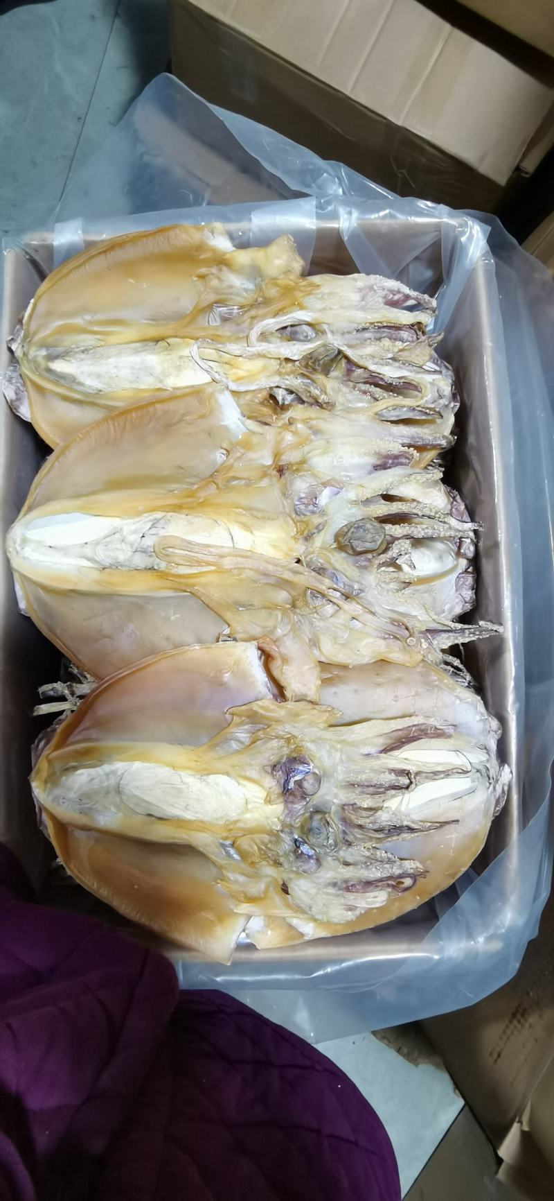 【有好货】特大优质墨鱼干浙江东海产地直发全国超市电商专供