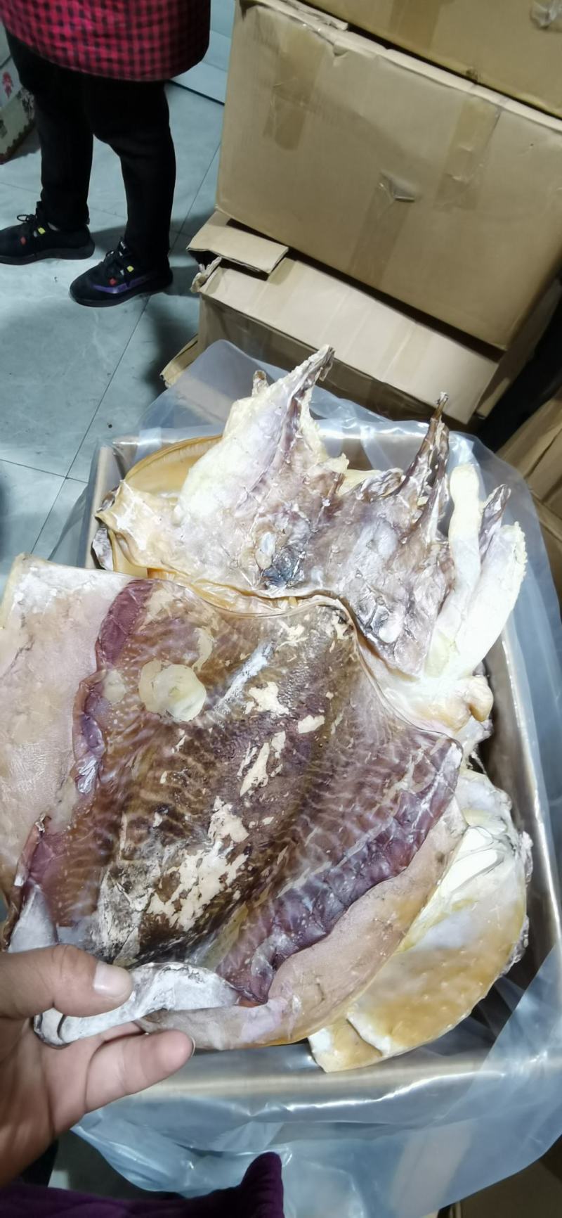 【有好货】特大优质墨鱼干浙江东海产地直发全国超市电商专供