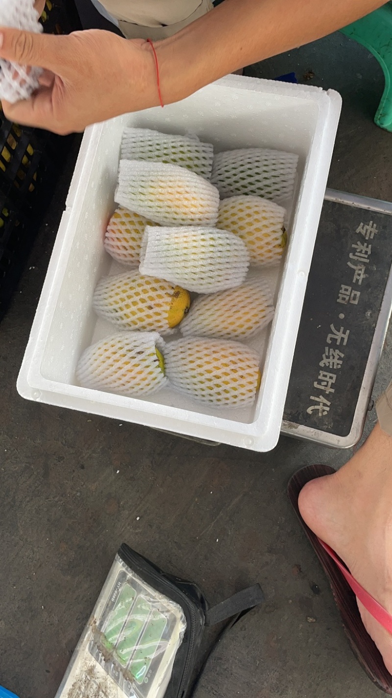 海南小台农产地一件代发，对接电商发货