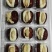 网红爆款腰果奶芙泡枣大量出货欢迎网红大咖快手抖音直播平台