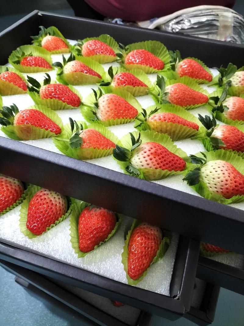 【欢迎下单】山东新鲜草莓奶莓甜宝草莓大量上市，需要的电联