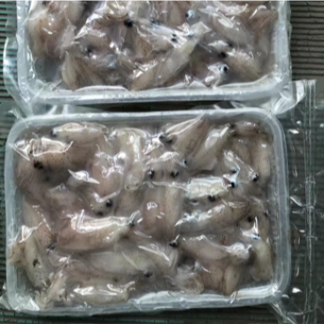 青岛笔管鲜冻小海兔味道鲜美社区团购批发微商货源