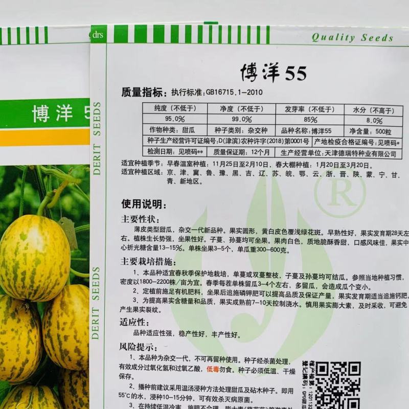 正宗博洋甜瓜种子黄皮白肉覆浅绿花斑博洋55甜瓜种子香甜