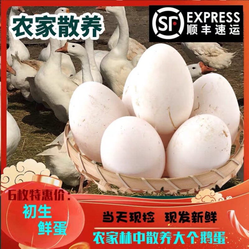 鹅蛋支持全国一件代发，包邮，包售后，欢迎各大电商来电