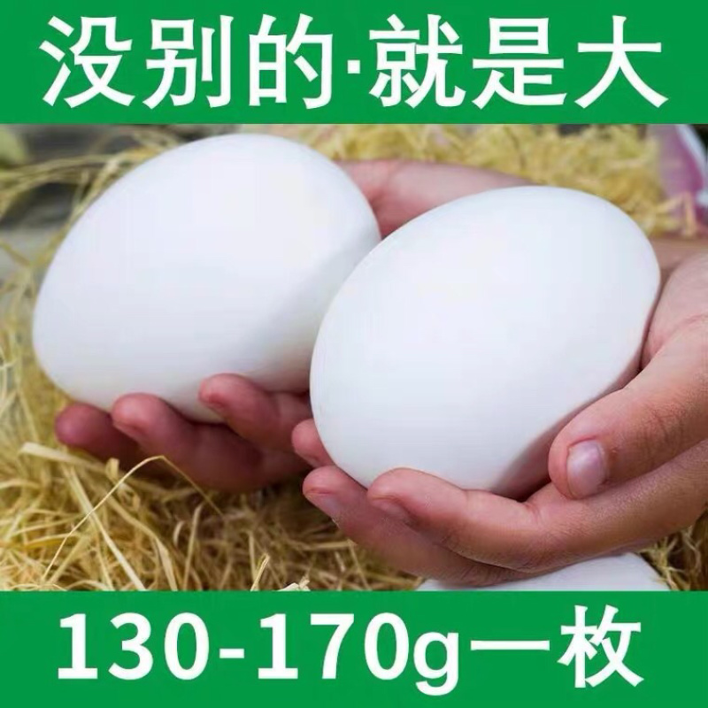 鹅蛋支持全国一件代发，包邮，包售后，欢迎各大电商来电