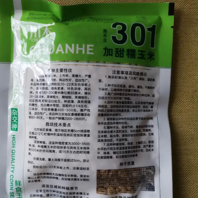 川禾301加甜糯玉米种子200克，上市早、果穗大、产量高