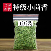 甘肃特级小茴香粒种子籽批发包邮家用商用调料香辛料卤肉底料