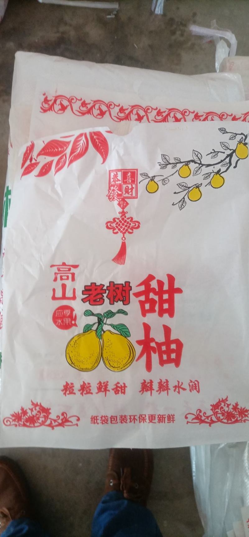 江永粗石江老树沙田柚大量上市，做生意的老板可来产区批发