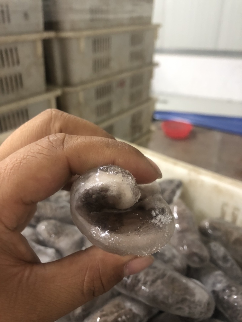 残参，微商团体社区团购爆品，畅销好货，紧缺货，厂家直销