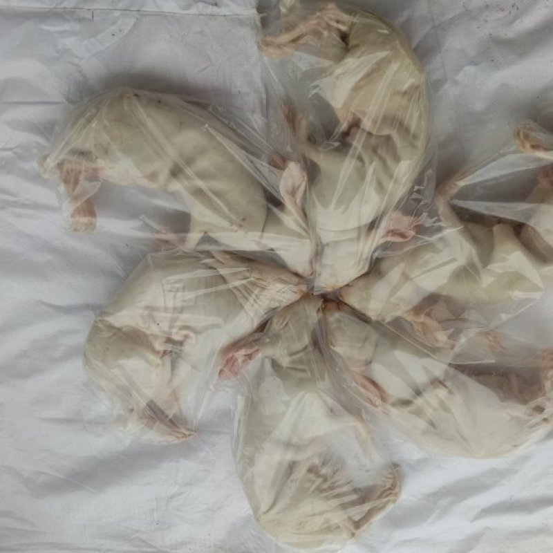 新鲜活杀，质量保证，量大从优