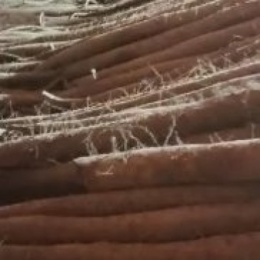 白玉山药，大量有货，板子，长条，小通货，咕噜，网贷货，