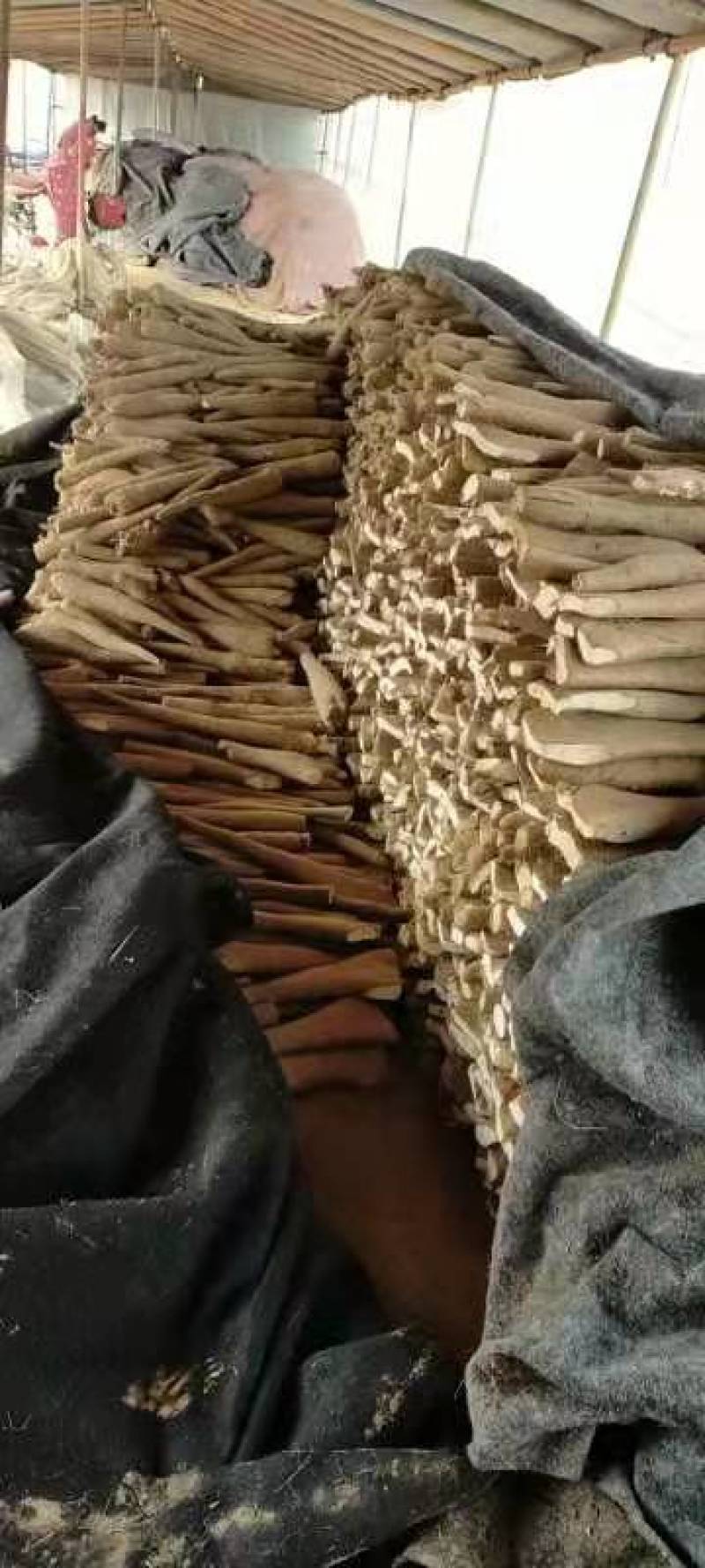 白玉山药，大量有货，板子，长条，小通货，咕噜，网贷货，