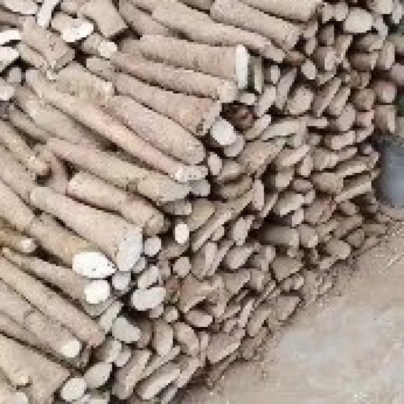 白玉山药，大量有货，板子，长条，小通货，咕噜，网贷货，
