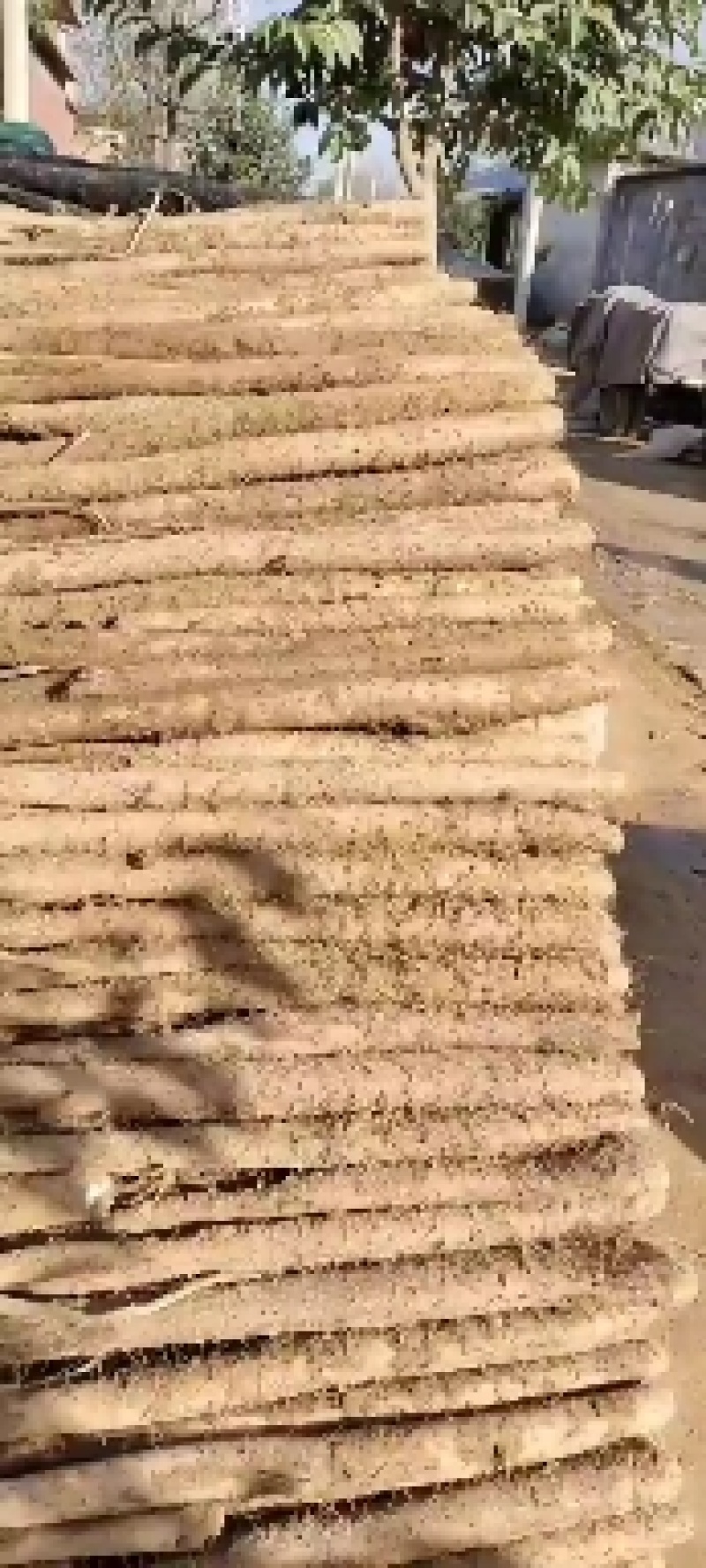 白玉山药，大量有货，板子，长条，小通货，咕噜，网贷货，