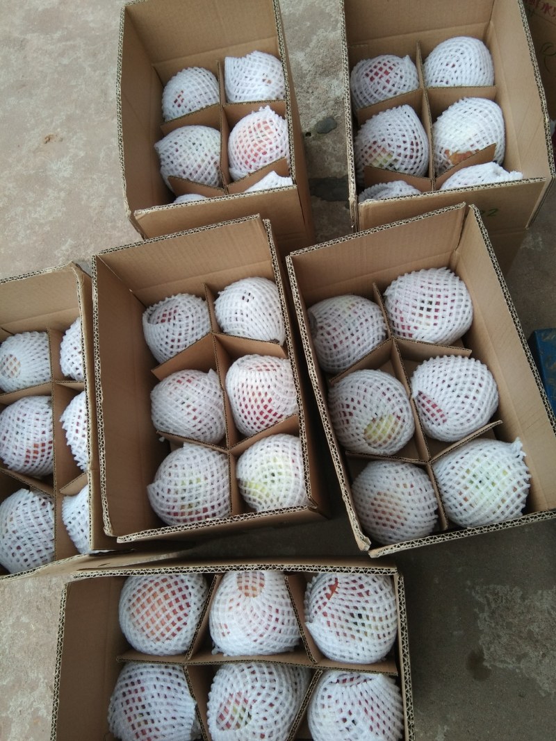 四川汉源高山糖心苹果连箱十斤装，自家果园，现摘现发
