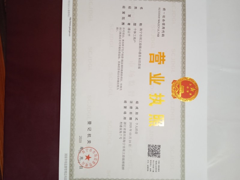 当年挂果2年小树无籽大十台湾长果白长果桑四季果桑