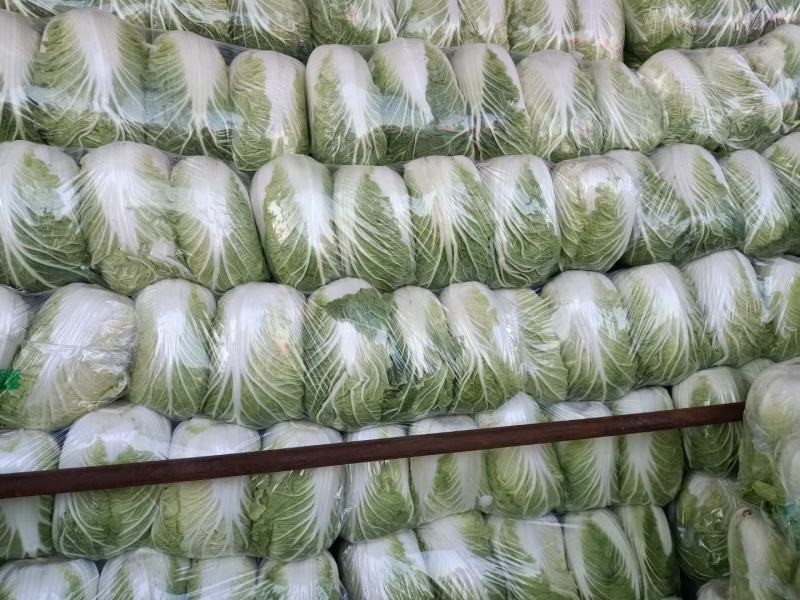 优选大白菜，产地直发，货源充足，品质保证，诚信代办，