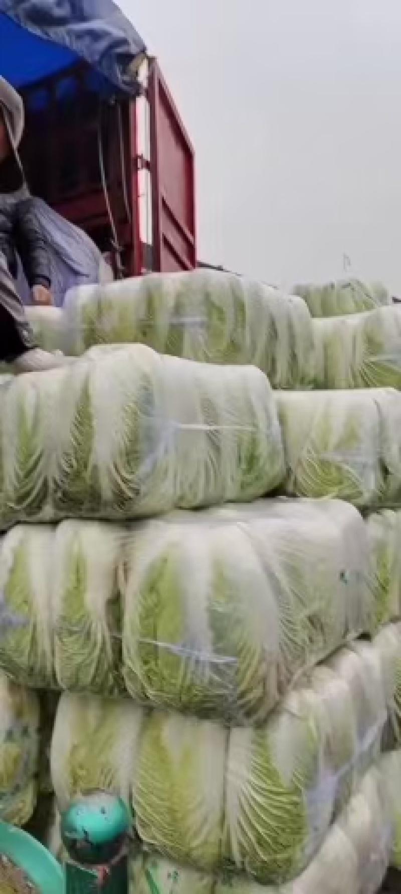 优选大白菜，产地直发，货源充足，品质保证，诚信代办，