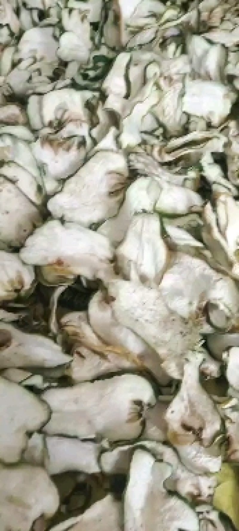 药柑，佛手柑本地鲜货干货