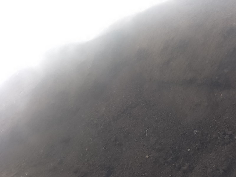 生物有机肥，纯鸡粪有痒发酵，厂家直供价格合理。