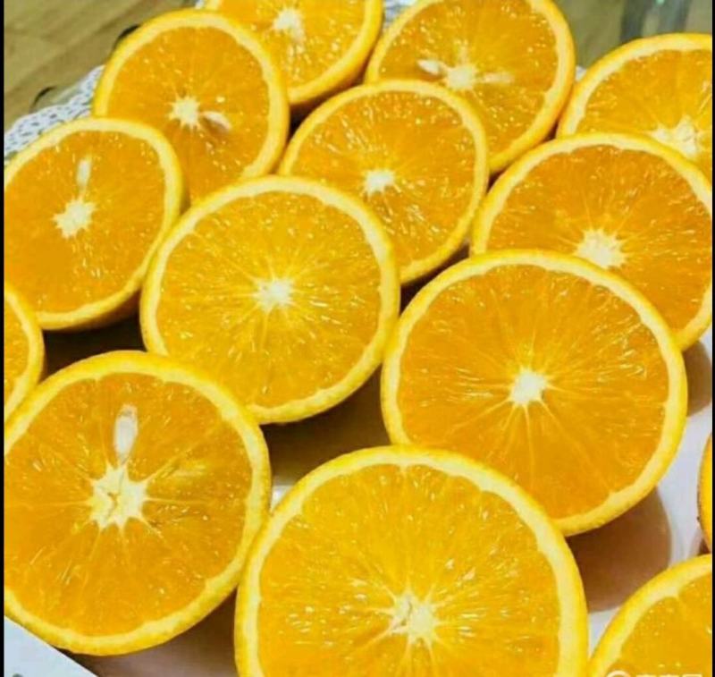 自家果园脐橙直接批发，免去中间商欢迎实地考察订购