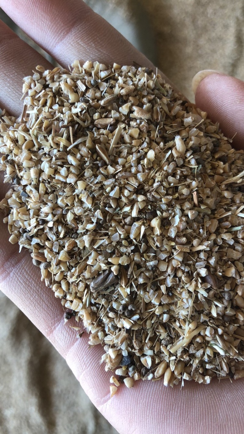 碎小麦，碎玉米，麦糠，黄色麦毛，霉变玉米