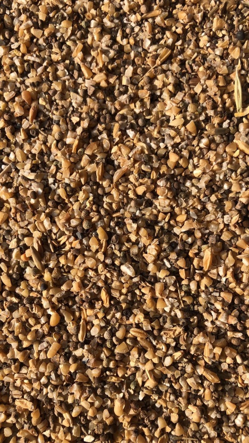 碎小麦，碎玉米，麦糠，黄色麦毛，霉变玉米