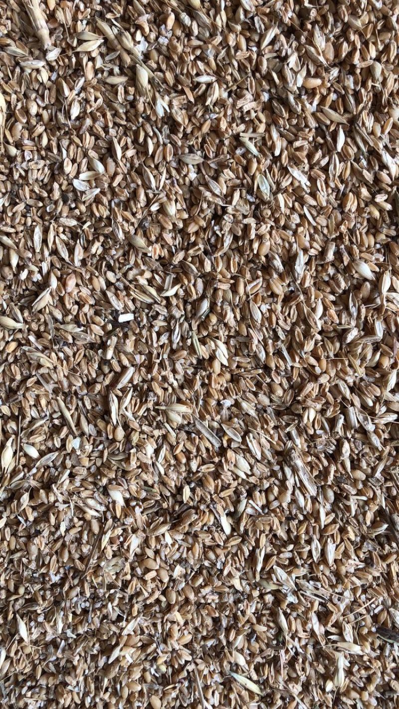 碎小麦，碎玉米，麦糠，黄色麦毛，霉变玉米