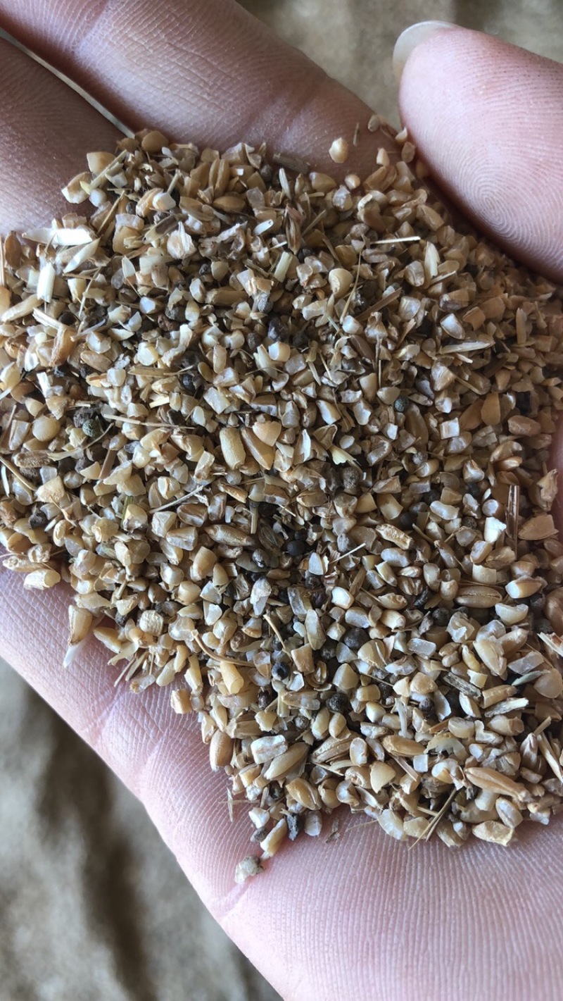 碎小麦，碎玉米，麦糠，黄色麦毛，霉变玉米