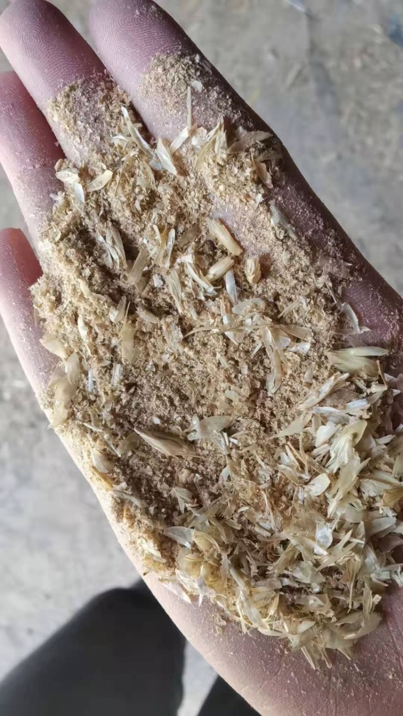 碎小麦，碎玉米，麦糠，黄色麦毛，霉变玉米