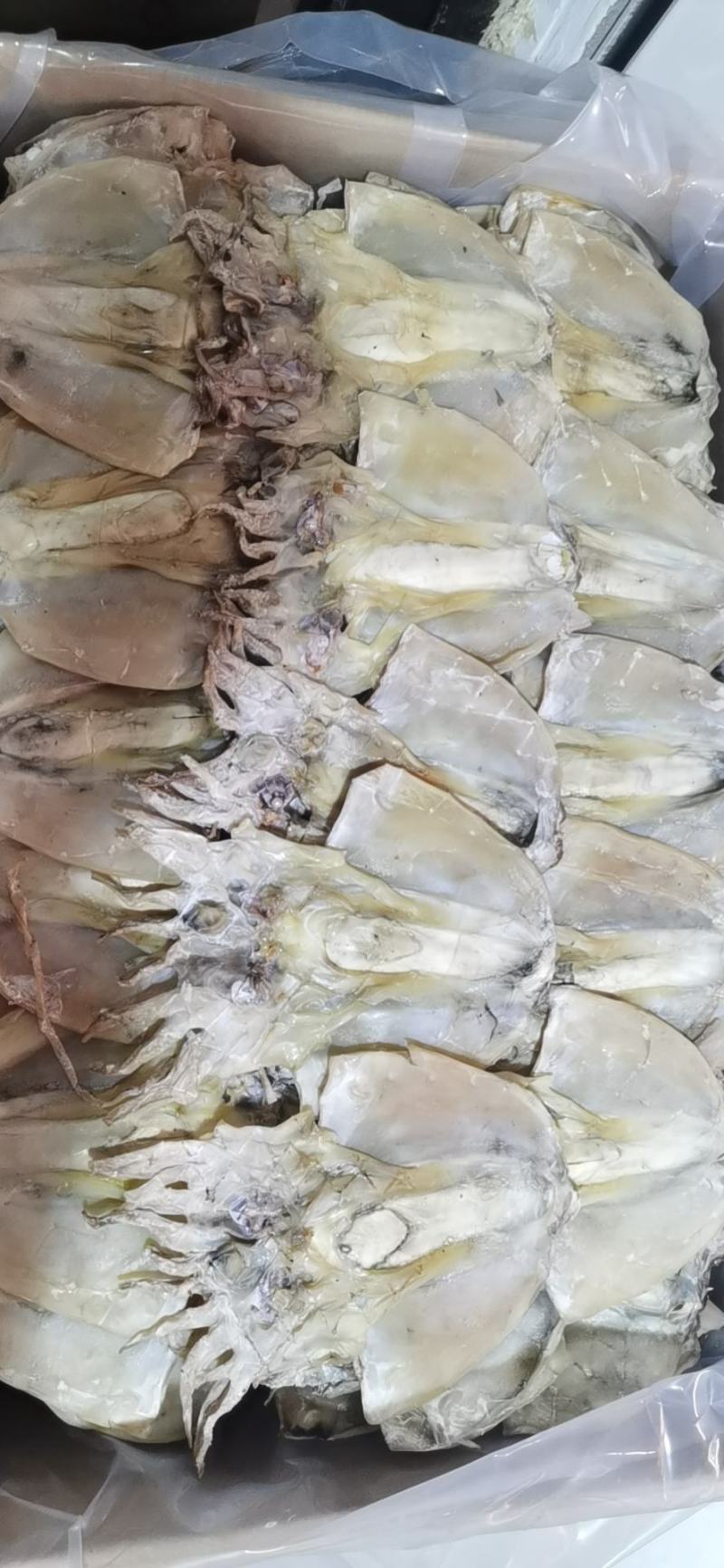 【爆品】东海墨鱼干自然晒干肉质鲜嫩浙江本港码头半淡海鲜