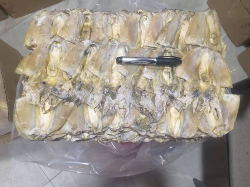 【爆品】东海墨鱼干自然晒干肉质鲜嫩浙江本港码头半淡海鲜