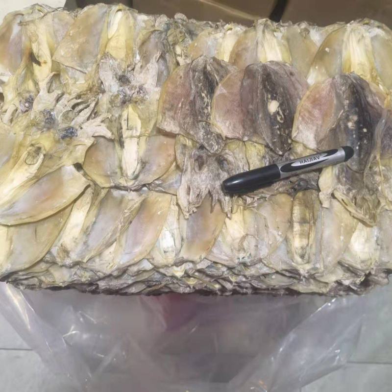 【爆品】东海墨鱼干自然晒干肉质鲜嫩浙江本港码头半淡海鲜