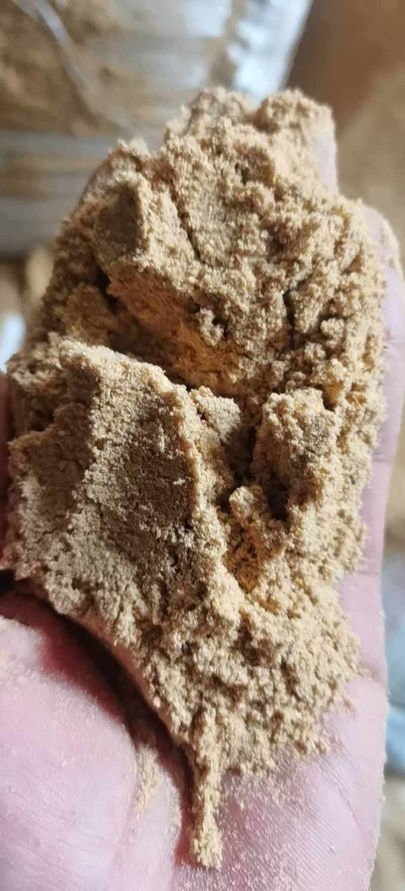 小米油糠蛋白15脂肪15大量有货养殖专用