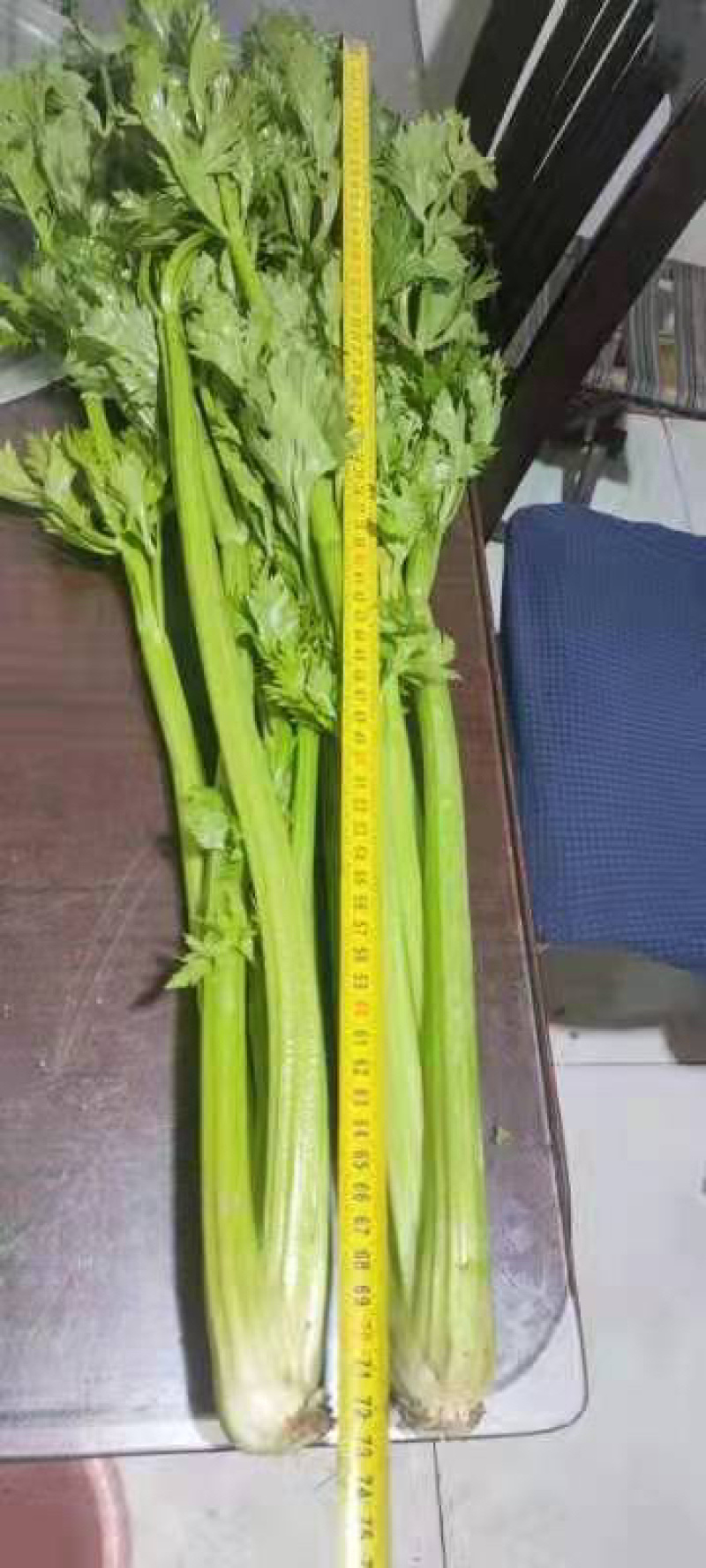 优质芹菜大量供应产地批发货源充足代发全国
