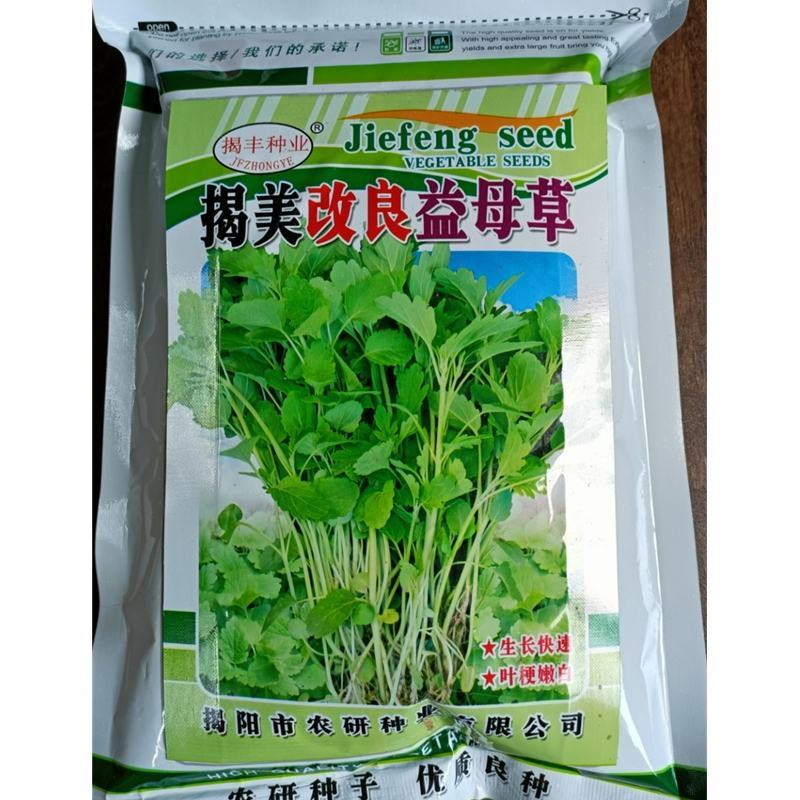 益母草种子，500克