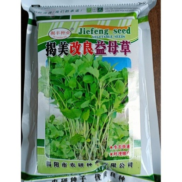 益母草种子，500克