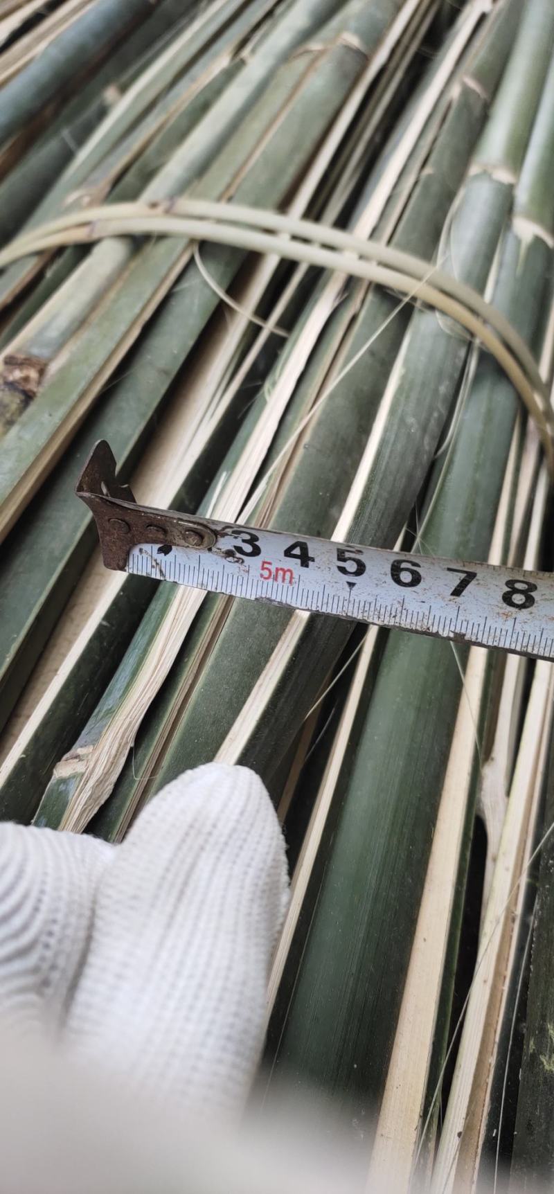 温棚竹片小拱棚